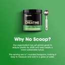 پودر Micronized Creatine Monohydrate از Optimum Nutrition (ON) برای حمایت از عضله‌سازی - بدون طعم، 300 گرم، 60 وعده - بسته‌بندی ممکن است متفاوت باشد 300 گرم 3500