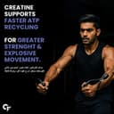 پودر Micronized Creatine Monohydrate کربامید فورت - ۸۳ سروینگ، ۲۵۰ گرم | پودر مکمل Creatine برای افزایش حجم عضلات خشک، قدرت و انرژی، پودر Creatine آبی 3556