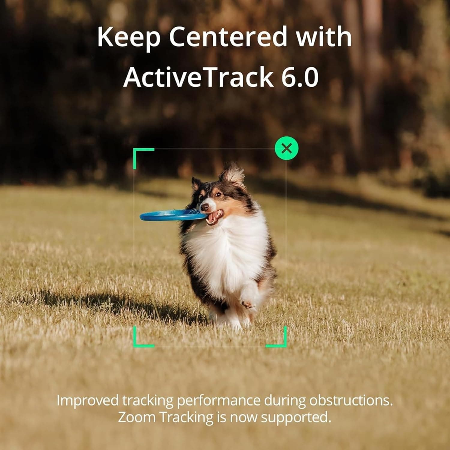 گیمبال هوشمند DJI OSMO Mobile SE – گیمبال ۳ محوره برای گوشی، سازگار با Android و iPhone، مناسب برای Vlogging و ضبط ویدئوهای YouTube و TikTok، نسخه امارات با پشتیبانی رسمی گارانتی. 488