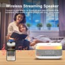 اسپیکر TERRIFI با ساعت زنگدار دیجیتال و شارژر بیسیم سریع 262