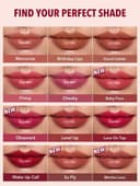 تینت لب SHEGLAM مدل Take A Hint Lip Tint 347
